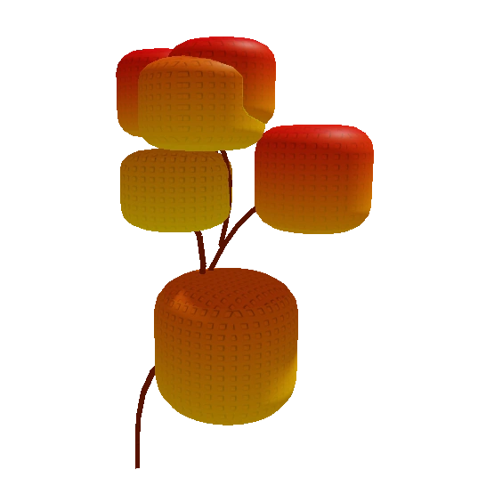 Maple Mango