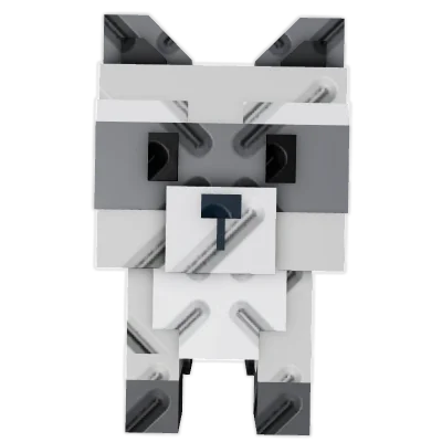 Raccoon
