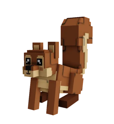 Squirrel